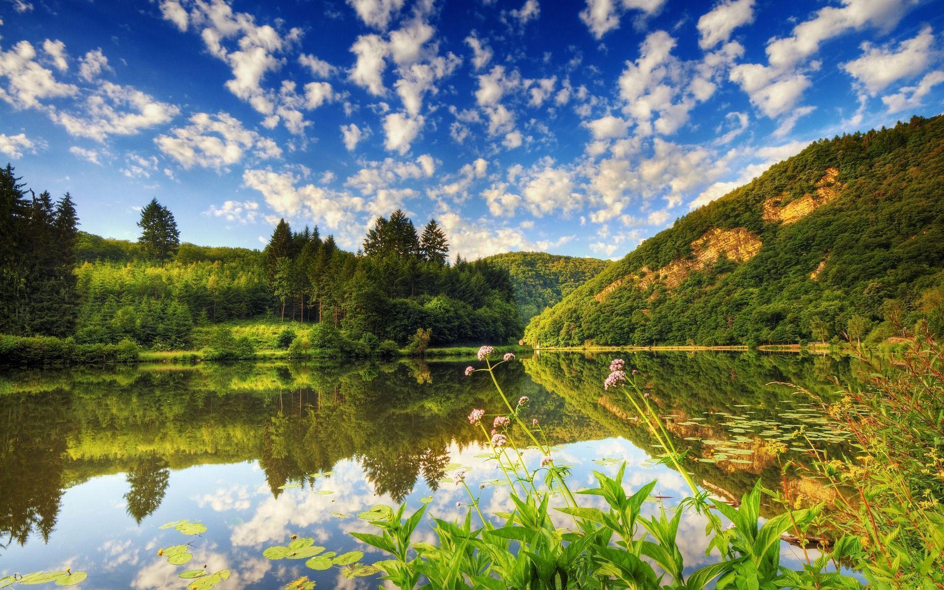 Welcome to Living Earth Private Association - Living Free on the Land